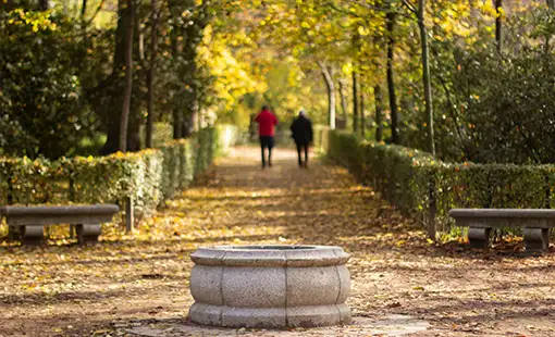 Codename SBM Sky 2.0 Garden